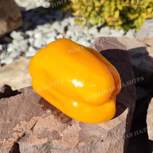 Томат Перец ДОКТОР ВАТСОН.