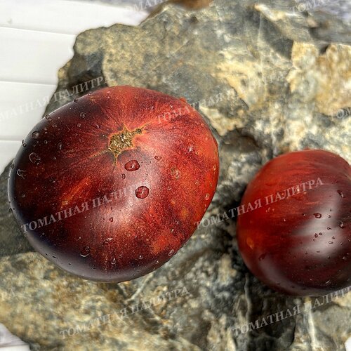 Томат ГНОМ ГОНДВАНА МОЛНИЯ (Dwarf Gondwana Lightning), Австралия.