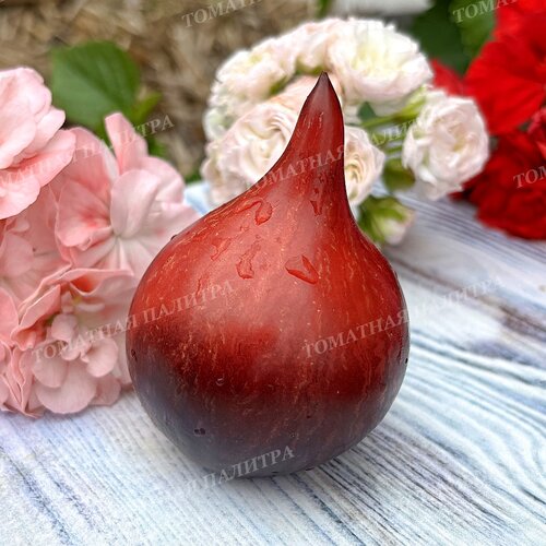 Томат ОГНЕННАЯ КОМЕТА СОФИИ