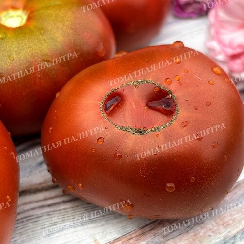 Томат ШОКОЛАДНЫЙ ГЕНРИ