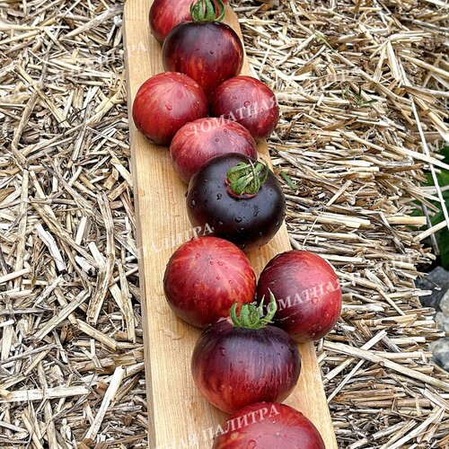 Томат КЛУБНИЧНЫЙ ВОДОПАД ПОЛОСАТЫЙ