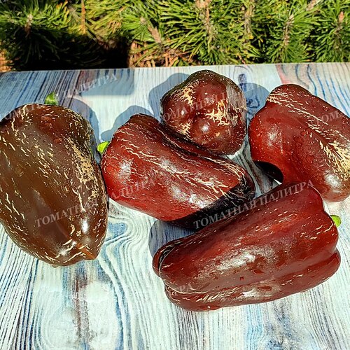 Томат Перец ШОКОЛАДНЫЙ БЫК.