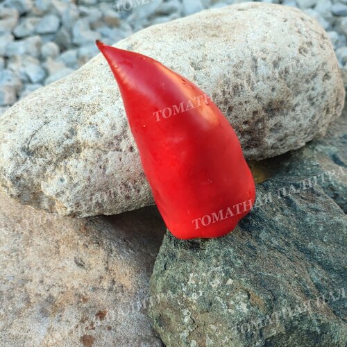 Томат Перец АЛИ БАБА